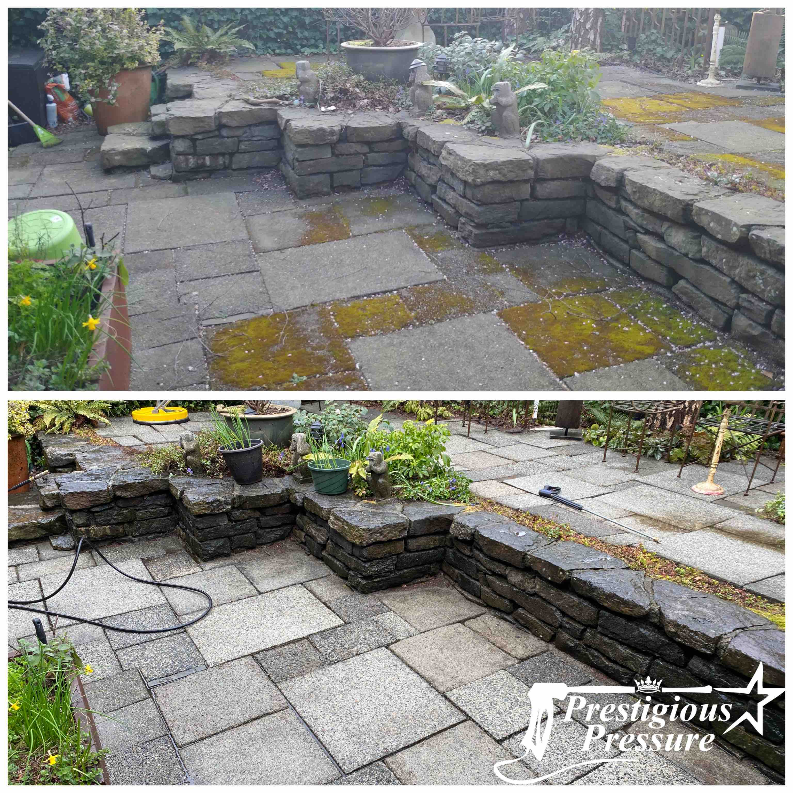 patio moss removal